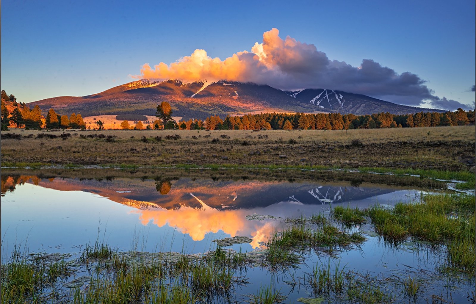 Flagstaff Real Estate