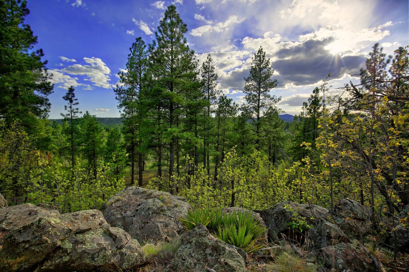 Tocasierra (3)