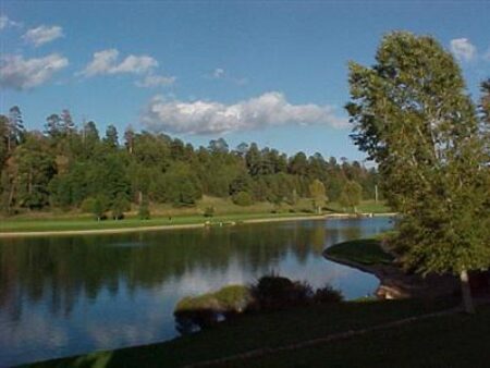 Photo of 6250 E Willow Loop, Flagstaff, AZ 86004