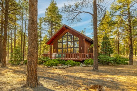 Photo of 7780 Pine Country Ln